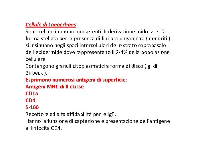 Cellule di Langerhans Sono cellule immunocompetenti di derivazione midollare. Di forma stellata per la