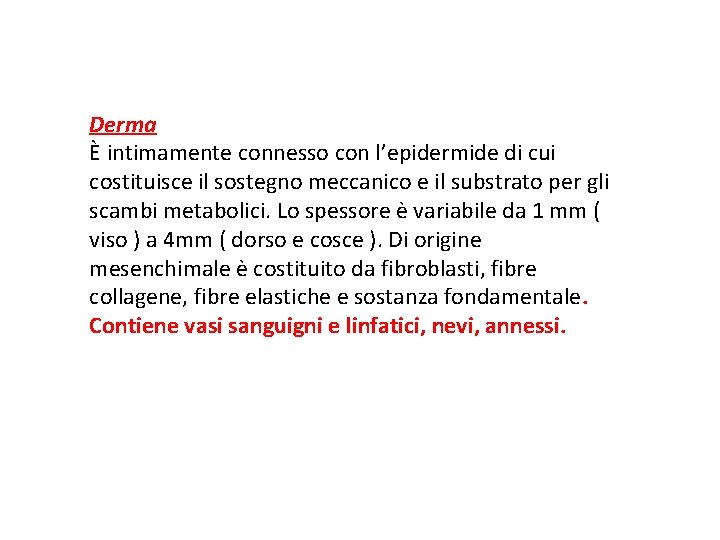 Derma È intimamente connesso con l’epidermide di cui costituisce il sostegno meccanico e il