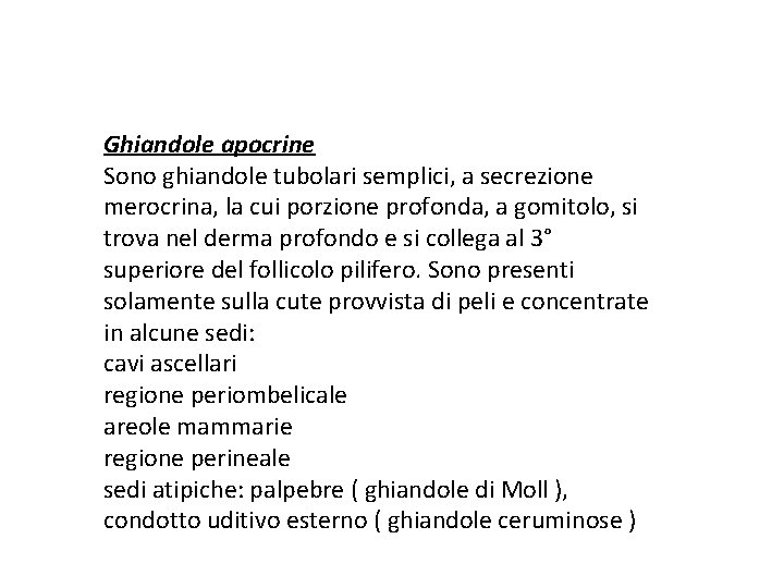 Ghiandole apocrine Sono ghiandole tubolari semplici, a secrezione merocrina, la cui porzione profonda, a