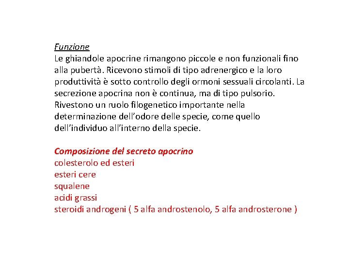 Funzione Le ghiandole apocrine rimangono piccole e non funzionali fino alla pubertà. Ricevono stimoli