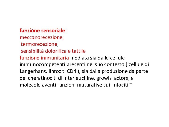 funzione sensoriale: meccanorecezione, termorecezione, sensibilità dolorifica e tattile funzione immunitaria mediata sia dalle cellule