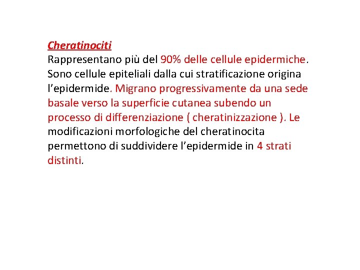 Cheratinociti Rappresentano più del 90% delle cellule epidermiche. Sono cellule epiteliali dalla cui stratificazione
