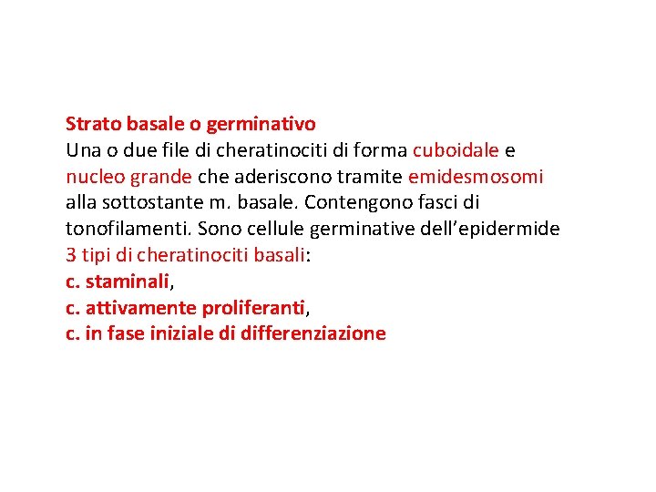 Strato basale o germinativo Una o due file di cheratinociti di forma cuboidale e