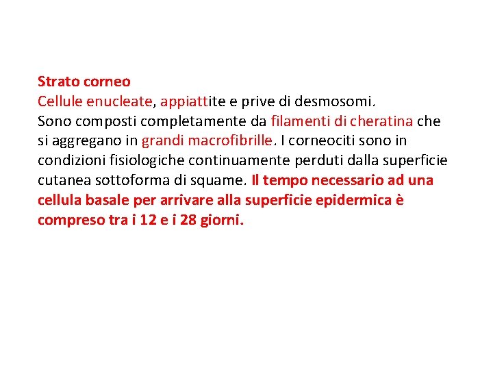 Strato corneo Cellule enucleate, appiattite e prive di desmosomi. Sono composti completamente da filamenti