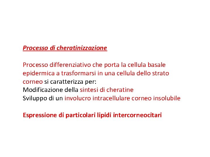 Processo di cheratinizzazione Processo differenziativo che porta la cellula basale epidermica a trasformarsi in