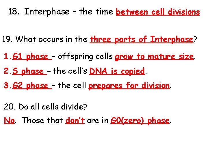 18. Interphase – the time between cell divisions 19. What occurs in the three