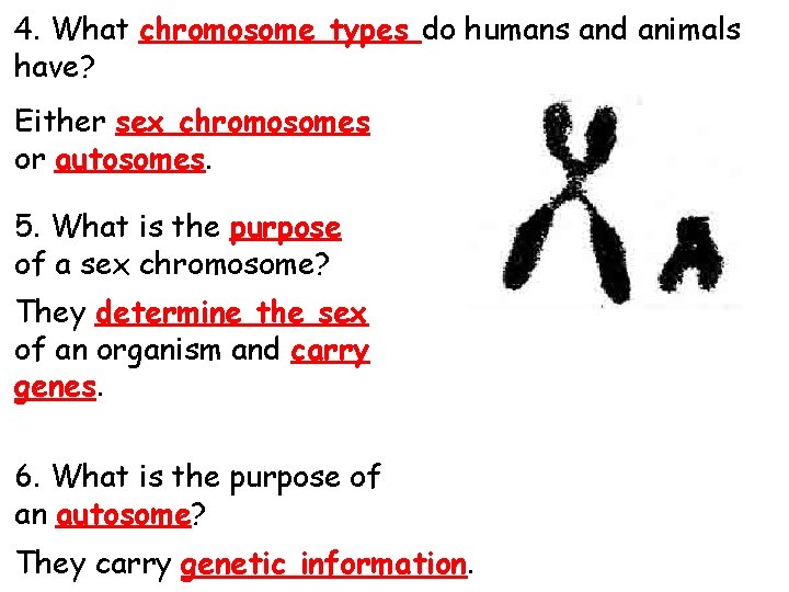 4. What chromosome types do humans and animals have? Either sex chromosomes or autosomes.