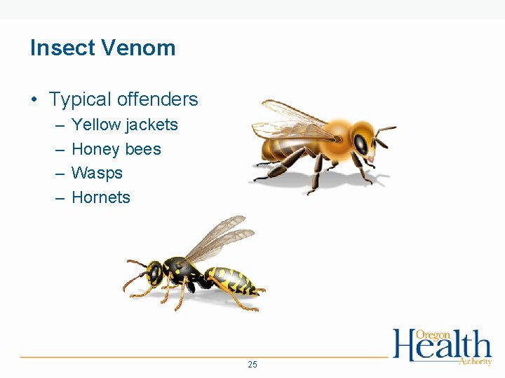 Insect Venom • Typical offenders – – Yellow jackets Honey bees Wasps Hornets 25