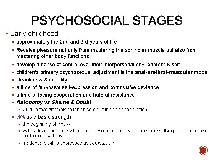 § Early childhood § approximately the 2 nd and 3 rd years of life