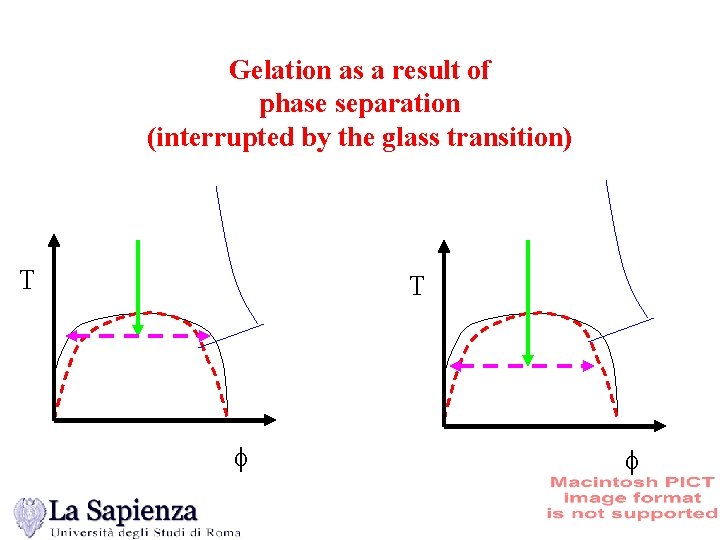 Gelation as a result of phase separation (interrupted by the glass transition) T T