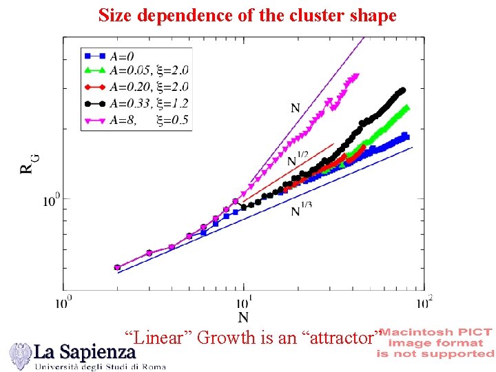 Size dependence of the cluster shape “Linear” Growth is an “attractor” 