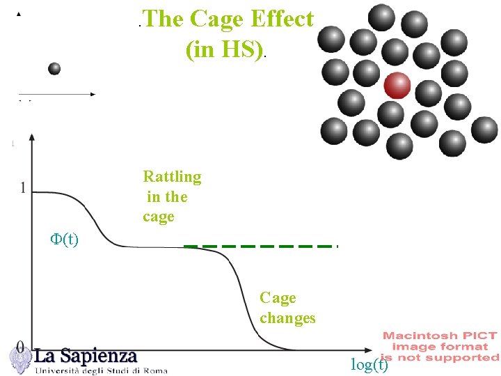 The Cage Effect (in HS). . Rattling in the cage F(t) Cage changes log(t)