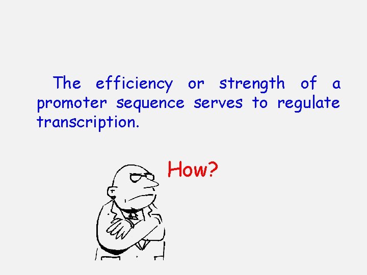 The efficiency or strength of a promoter sequence serves to regulate transcription. How? 