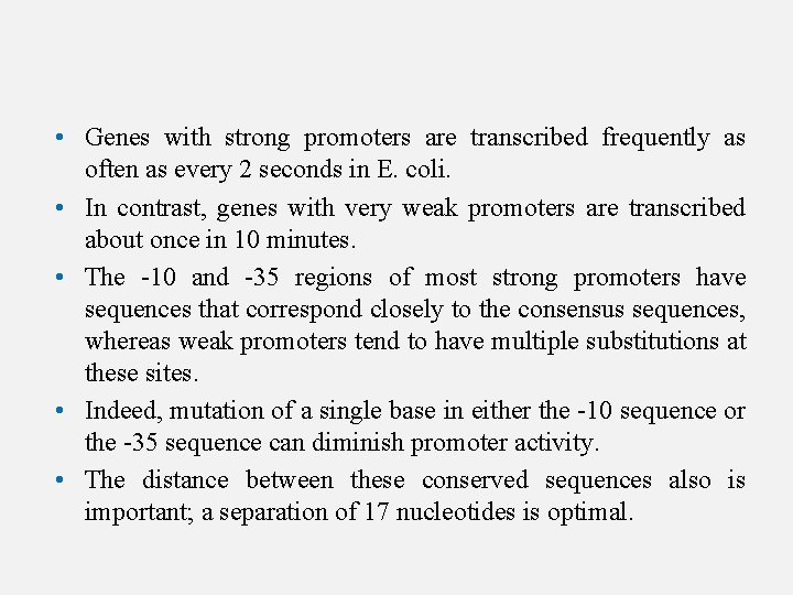  • Genes with strong promoters are transcribed frequently as often as every 2