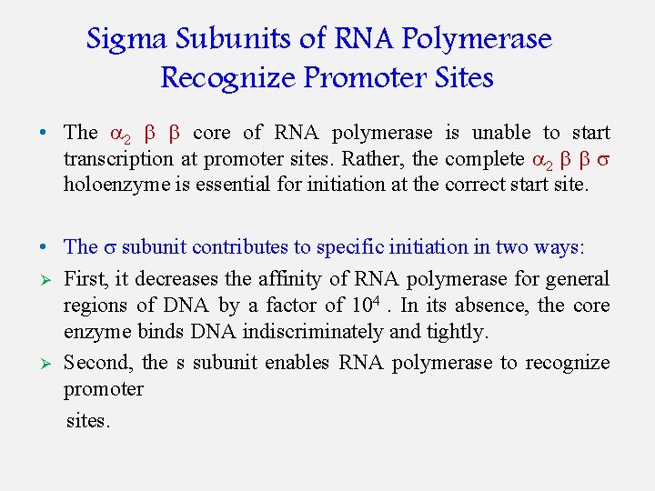 Sigma Subunits of RNA Polymerase Recognize Promoter Sites • The 2 core of RNA