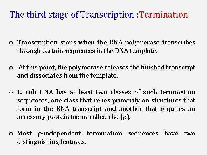The third stage of Transcription : Termination o Transcription stops when the RNA polymerase