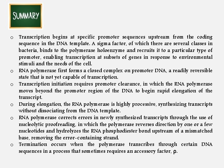 o Transcription begins at specific promoter sequences upstream from the coding sequence in the