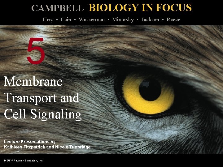 CAMPBELL BIOLOGY IN FOCUS Urry • Cain • Wasserman • Minorsky • Jackson •