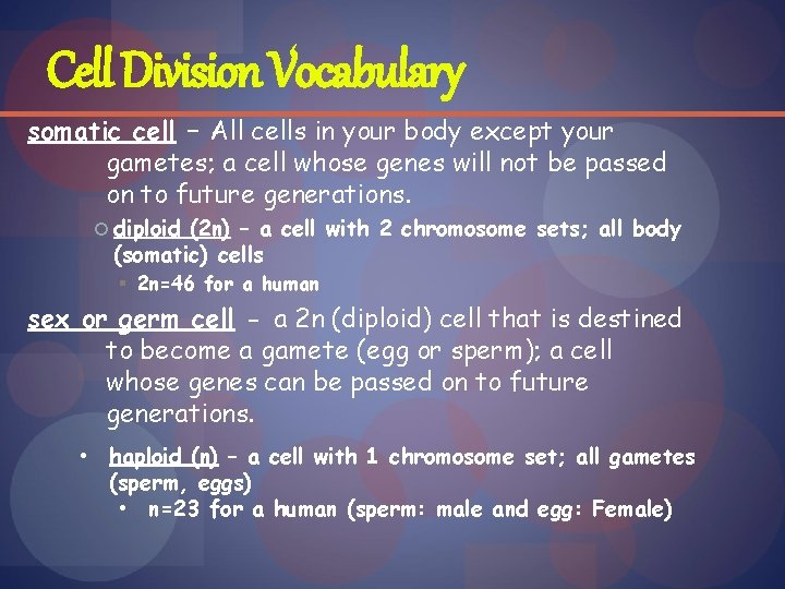 Cell Division Vocabulary somatic cell – All cells in your body except your gametes;