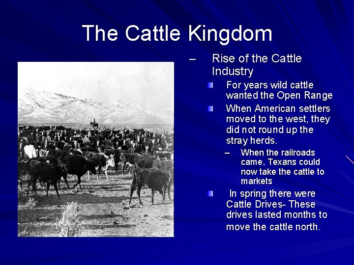 The Cattle Kingdom – Rise of the Cattle Industry For years wild cattle wanted