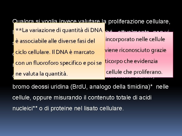 Qualora si voglia invece valutare la proliferazione cellulare, **La variazione di quantità di DNA