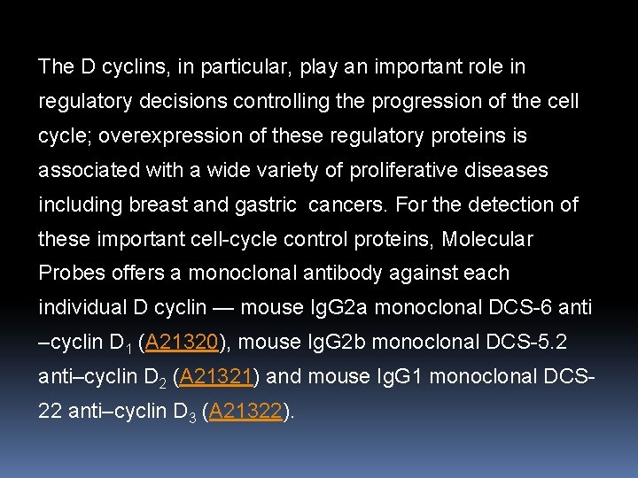 The D cyclins, in particular, play an important role in regulatory decisions controlling the