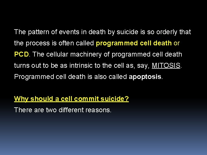 The pattern of events in death by suicide is so orderly that the process