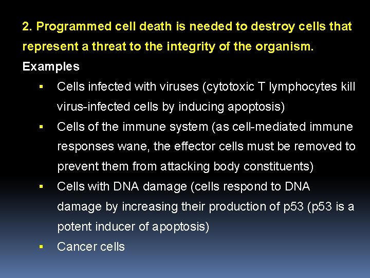 2. Programmed cell death is needed to destroy cells that represent a threat to