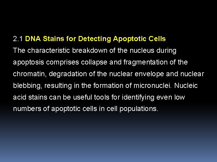 2. 1 DNA Stains for Detecting Apoptotic Cells The characteristic breakdown of the nucleus