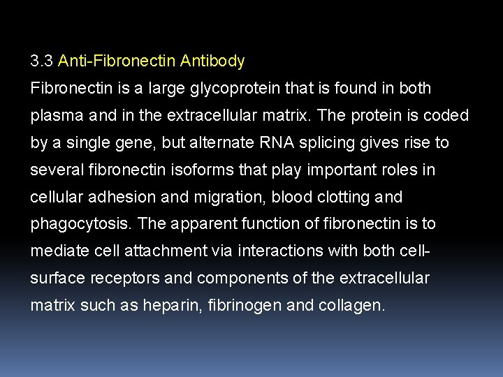 3. 3 Anti-Fibronectin Antibody Fibronectin is a large glycoprotein that is found in both