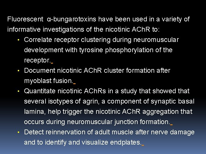 Fluorescent α-bungarotoxins have been used in a variety of informative investigations of the nicotinic