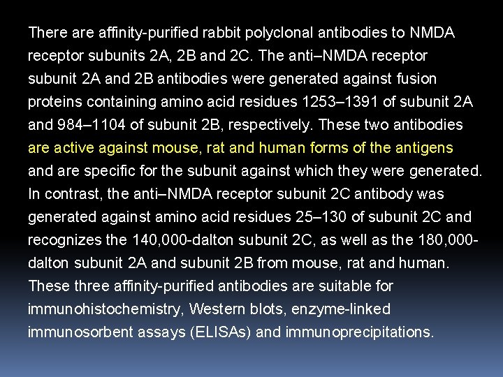 There affinity-purified rabbit polyclonal antibodies to NMDA receptor subunits 2 A, 2 B and