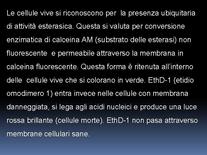 Le cellule vive si riconoscono per la presenza ubiquitaria di attività esterasica. Questa si