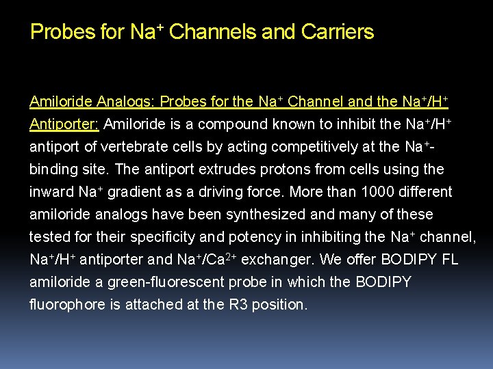 Probes for Na+ Channels and Carriers Amiloride Analogs: Probes for the Na+ Channel and