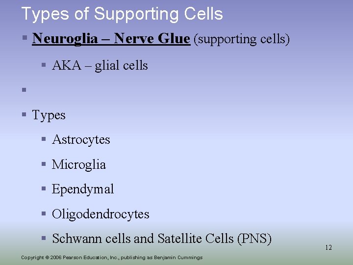 Types of Supporting Cells § Neuroglia – Nerve Glue (supporting cells) § AKA –