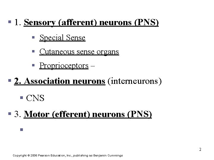 Classification of Neurons based on Function § 1. Sensory (afferent) neurons (PNS) § Special