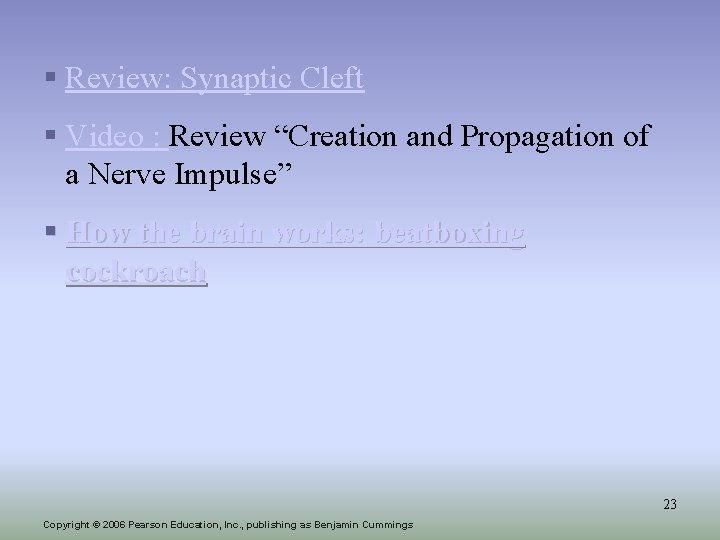 § Review: Synaptic Cleft § Video : Review “Creation and Propagation of a Nerve