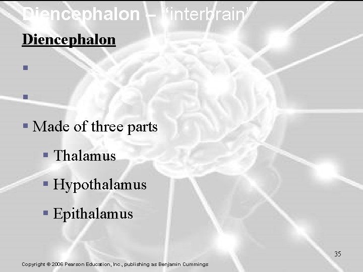 Diencephalon – “interbrain” Diencephalon § § § Made of three parts § Thalamus §