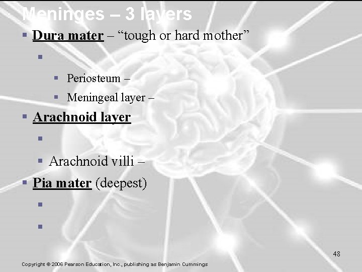 Meninges – 3 layers § Dura mater – “tough or hard mother” § §