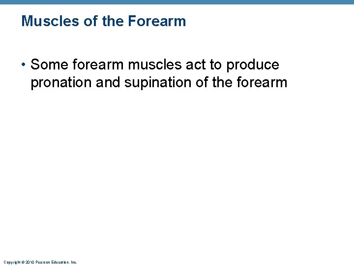 Muscles of the Forearm • Some forearm muscles act to produce pronation and supination