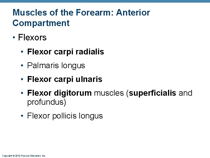 Muscles of the Forearm: Anterior Compartment • Flexors • Flexor carpi radialis • Palmaris