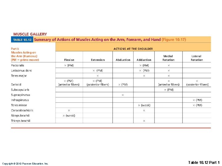 Copyright © 2010 Pearson Education, Inc. Table 10. 12 Part 1 