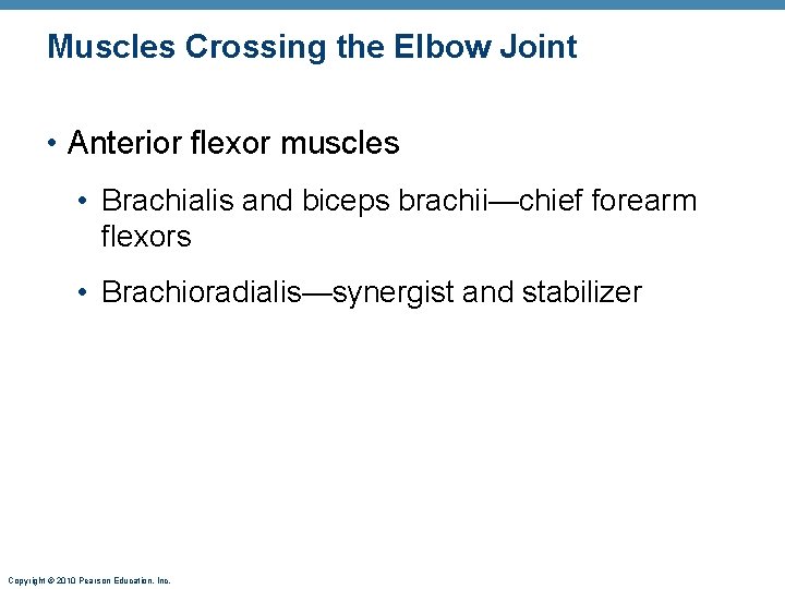 Muscles Crossing the Elbow Joint • Anterior flexor muscles • Brachialis and biceps brachii—chief