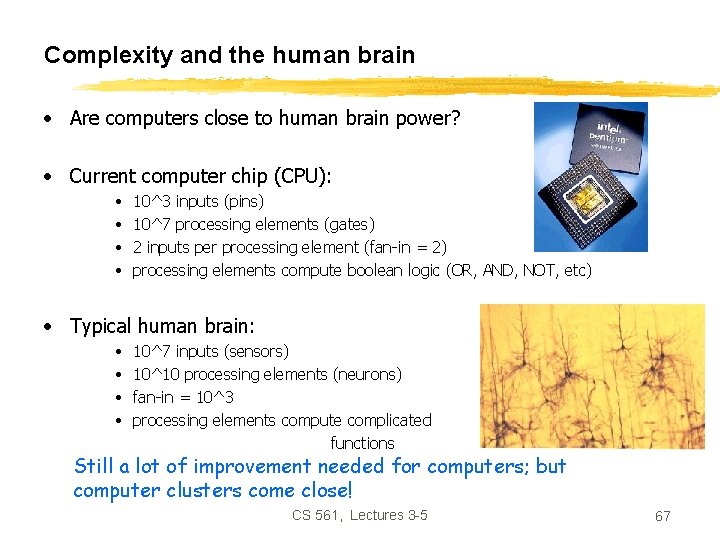 Complexity and the human brain • Are computers close to human brain power? •