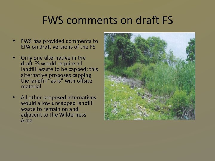 FWS comments on draft FS • FWS has provided comments to EPA on draft