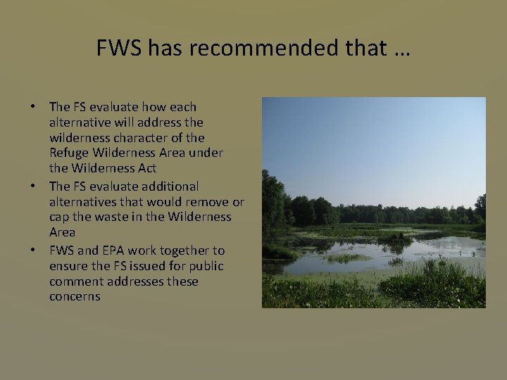 FWS has recommended that … • The FS evaluate how each alternative will address