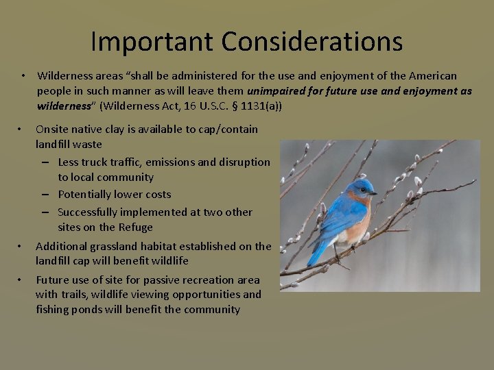 Important Considerations • Wilderness areas “shall be administered for the use and enjoyment of