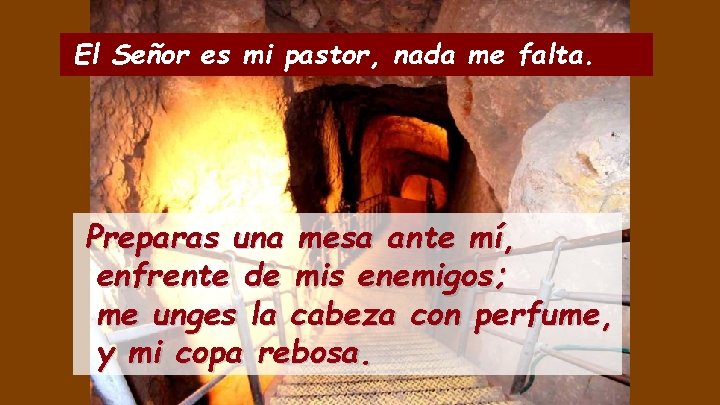 El Señor es mi pastor, nada me falta. Preparas una mesa ante mí, enfrente