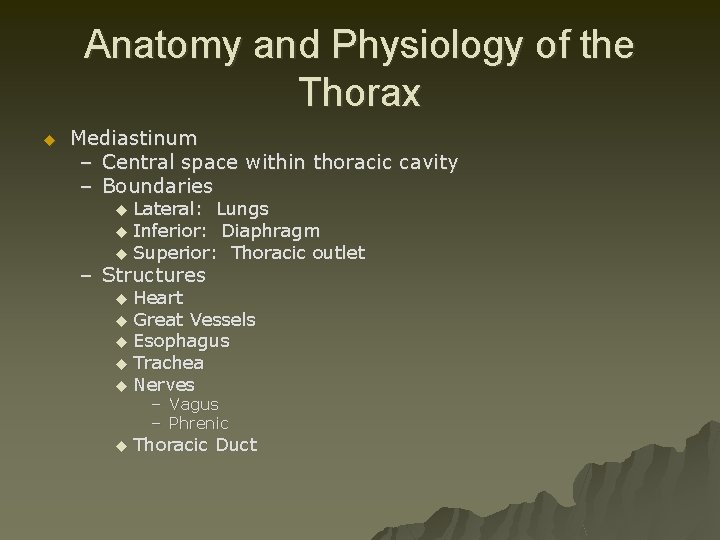 Anatomy and Physiology of the Thorax u Mediastinum – Central space within thoracic cavity