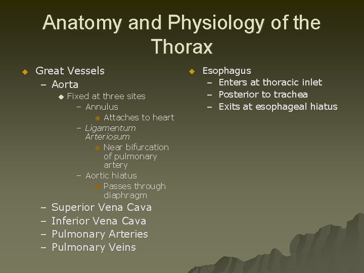 Anatomy and Physiology of the Thorax u Great Vessels – Aorta u – –